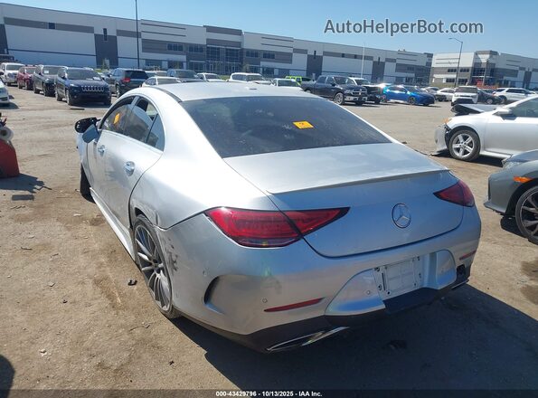 WDD2J5JB7LA049008 2020 MERCEDES-BENZ CLS-CLASS Silver Tył lewy