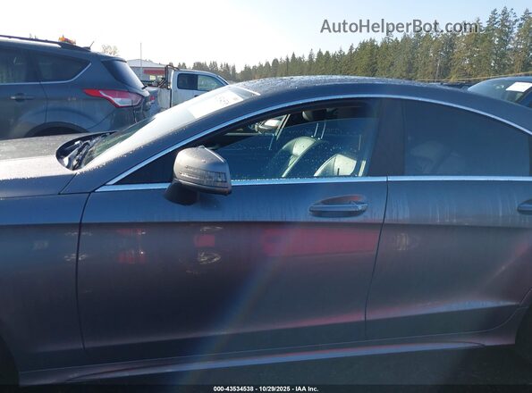 WDDLJ6HB3GA178241 2016 MERCEDES-BENZ CLS-CLASS Blue Widok wnętrza 360 stopni