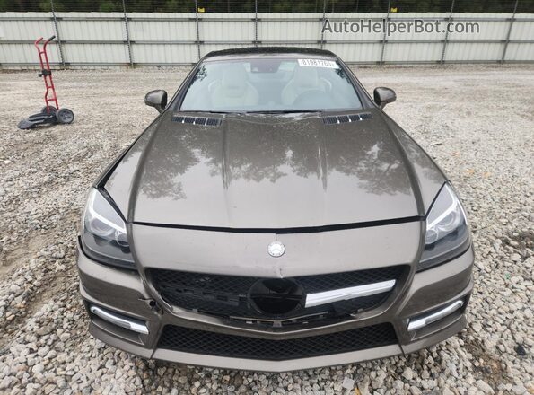 WDDPK3JA7GF124135 2016 MERCEDES-BENZ SLK Brown Вид спереду
