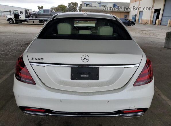 WDDUG8DB7KA429257 2019 MERCEDES-BENZ S White Հետևի տեսք