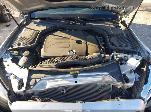 WDDWF8DB2LR537980 2020 MERCEDES-BENZ C-CLASS Silver უკანა ხედი