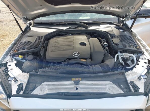 WDDWF8EB8LR525928 2020 MERCEDES-BENZ C-CLASS Silver უკანა ხედი