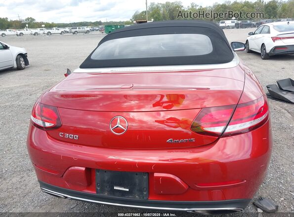WDDWK8EB4KF928834 2019 MERCEDES-BENZ C-CLASS Красный 