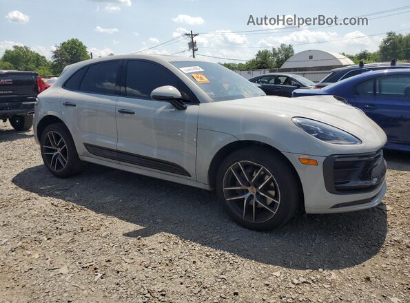 WP1AA2A55RLB07403 2024 PORSCHE MACAN Серый 