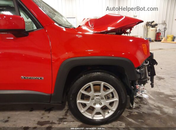 ZACNJABB3LPL31402 2020 JEEP RENEGADE Красный 