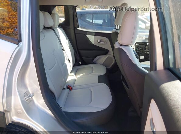 ZACNJAD19LPL47088 2020 JEEP RENEGADE Gray VIN կոդի պիտակի տեսք