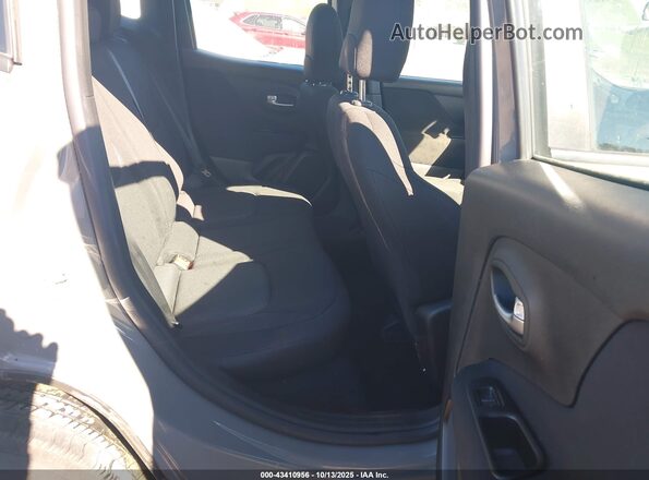 ZACNJBAB3LPL08757 2020 JEEP RENEGADE Gray Widok naklejki z numerem VIN