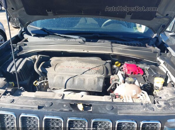 ZACNJBAB3LPL08757 2020 JEEP RENEGADE Gray Widok z tyłu