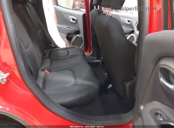 ZACNJBAB9LPL14501 2020 JEEP RENEGADE Красный Вид наклейки с VIN-кодом
