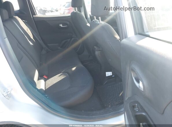 ZACNJBAB9LPL89716 2020 JEEP RENEGADE Silver VIN կոդի պիտակի տեսք