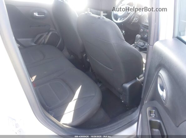 ZACNJBBB0LPL21349 2020 JEEP RENEGADE Silver VIN կոդի պիտակի տեսք