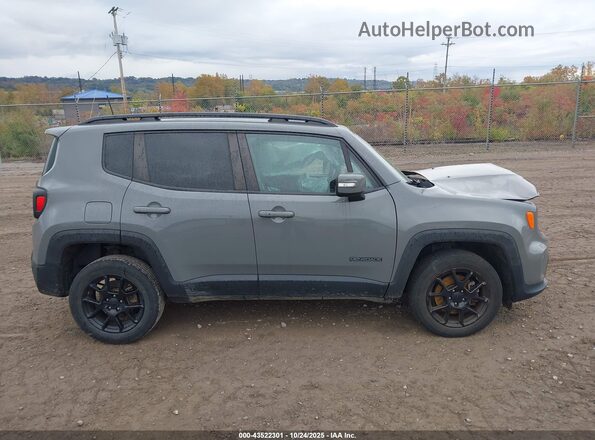 ZACNJBBB1LPL28696 2020 JEEP RENEGADE Gray Vista interior de 360 grados