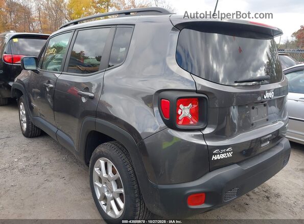 ZACNJBBB3LPL71761 2020 JEEP RENEGADE Gray Tył lewy