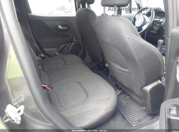 ZACNJBBB3LPL71761 2020 JEEP RENEGADE Gray Widok naklejki z numerem VIN