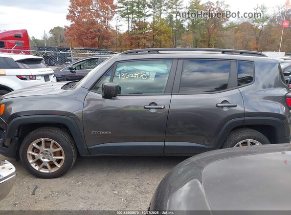 ZACNJBBB3LPL71761 2020 JEEP RENEGADE Gray Widok wnętrza 360 stopni