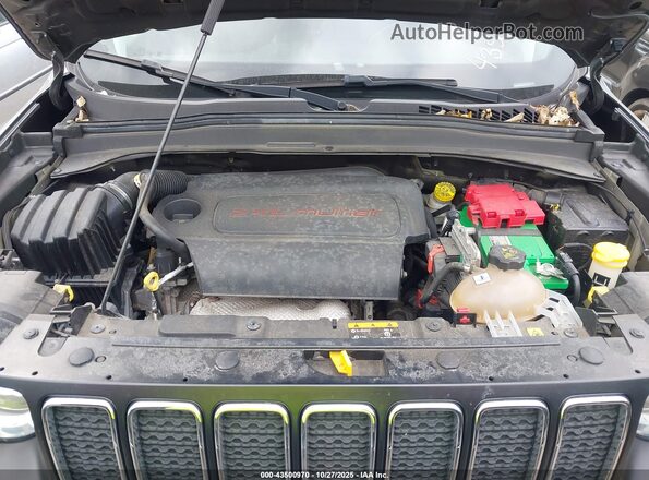 ZACNJBBB3LPL71761 2020 JEEP RENEGADE Gray Widok z tyłu