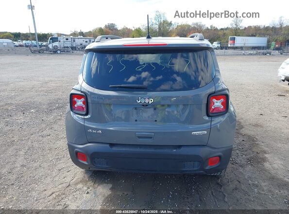 ZACNJBBB5LPL35442 2020 JEEP RENEGADE Gray 