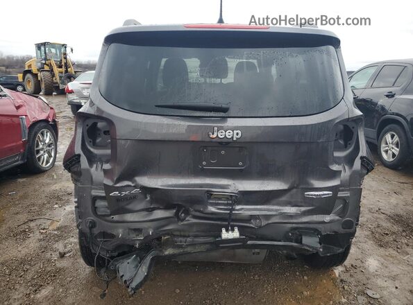 ZACNJBBB9LPL29675 2020 JEEP RENEGADE Серый Вид сзади