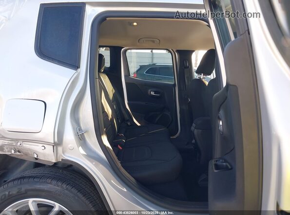 ZACNJBBBXLPL44072 2020 JEEP RENEGADE Серебряный Вид наклейки с VIN-кодом