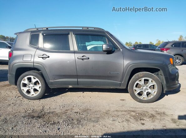 ZACNJBD1XLPL09391 2020 JEEP RENEGADE Gray Vista interior de 360 grados