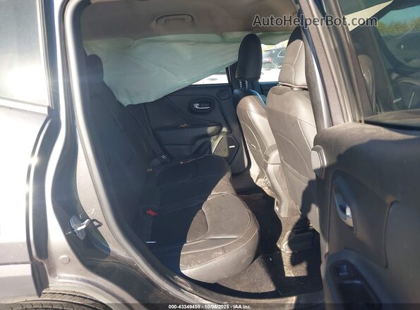 ZACNJBD1XLPL09391 2020 JEEP RENEGADE Gray Vista de la etiqueta del VIN