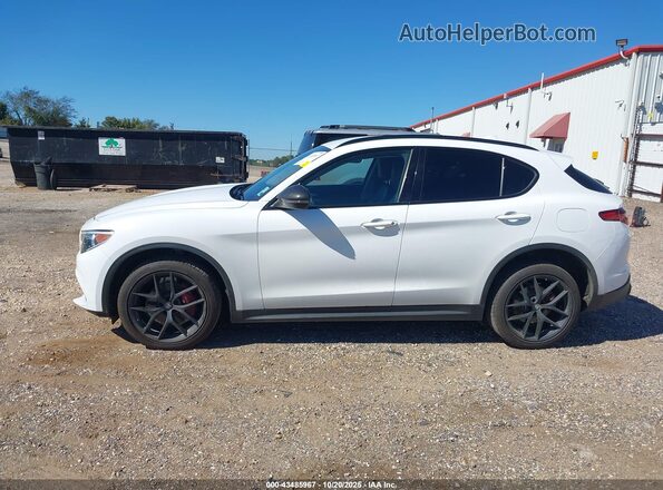 ZASPAJAN5L7C89553 2020 ALFA ROMEO STELVIO White 