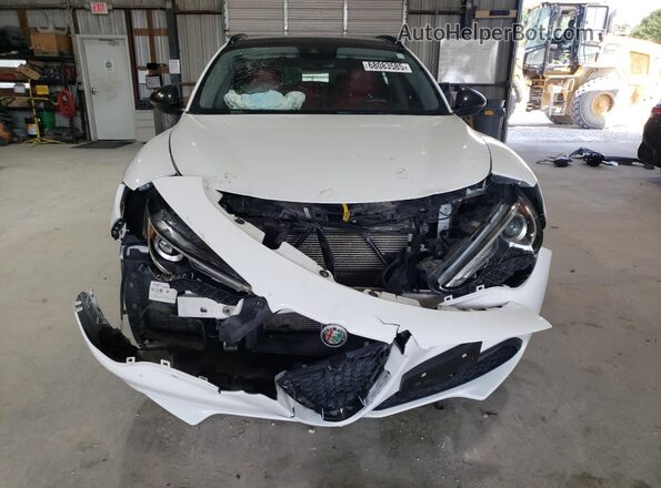 ZASPAKBN1L7C89604 2020 ALFA ROMEO STELVIO White Widok z przodu