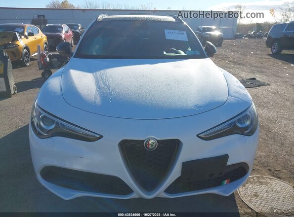 ZASPAKBN3N7D38059 2022 ALFA ROMEO STELVIO White წინა პანელის ხედი