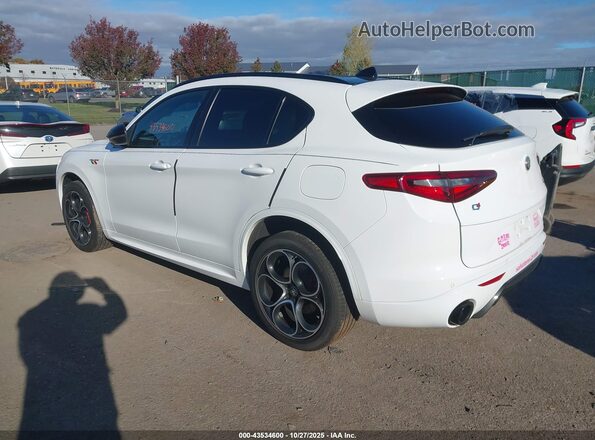 ZASPAKBN3N7D38059 2022 ALFA ROMEO STELVIO White უკანა მარცხენა