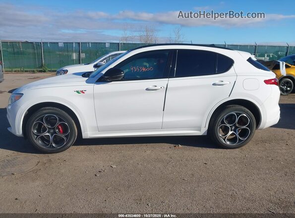 ZASPAKBN3N7D38059 2022 ALFA ROMEO STELVIO White უკანა სალონის ხედი