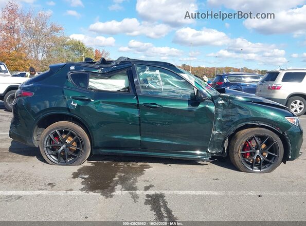 ZASPAKBN4M7D15730 2021 ALFA ROMEO STELVIO Зеленый Вид задней части салона