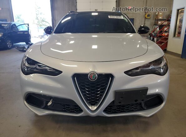 ZASPAKBN6R7D77136 2024 ALFA ROMEO STELVIO Серебряный Вид спереди