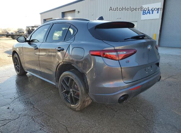 ZASPAKBN7L7C88764 2020 ALFA ROMEO STELVIO Gray Задня ліва чверть