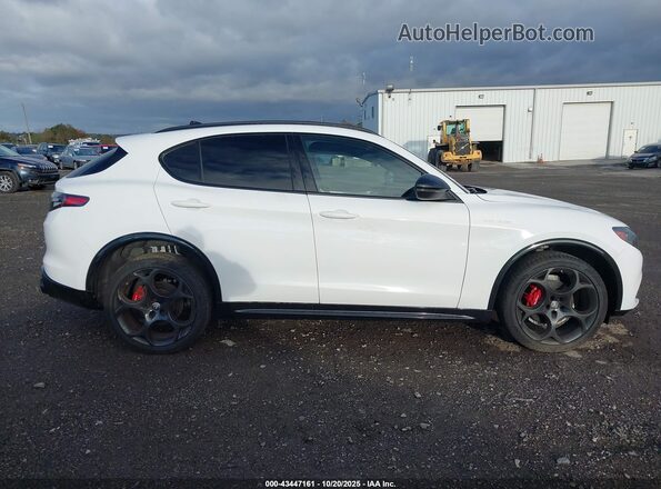 ZASPAKBN8R7D84301 2024 ALFA ROMEO STELVIO White Vista interior trasera