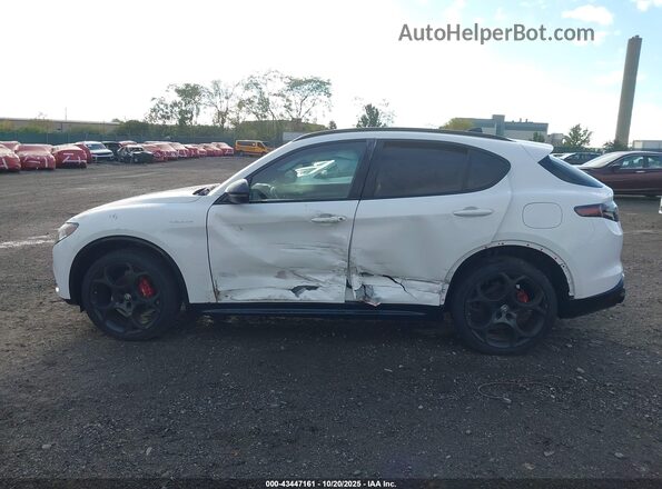 ZASPAKBN8R7D84301 2024 ALFA ROMEO STELVIO White Vista interior de 360 grados