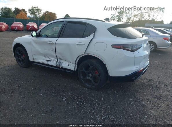 ZASPAKBN8R7D84301 2024 ALFA ROMEO STELVIO White Trasero izquierdo