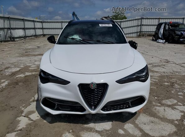 ZASPAKBN9R7D75154 2024 ALFA ROMEO STELVIO White Դիմացի տեսք