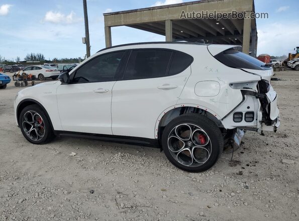 ZASPAKBNXR7D77771 2024 ALFA ROMEO STELVIO White Rear left