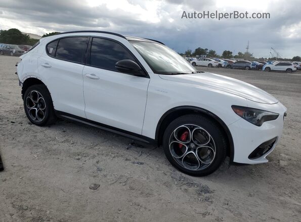ZASPAKBNXR7D77771 2024 ALFA ROMEO STELVIO White Front right