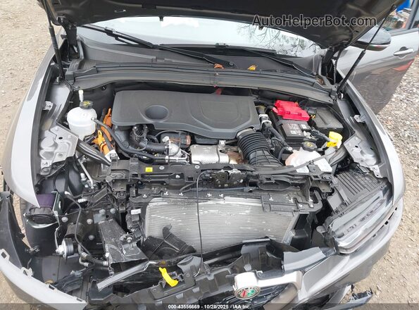 ZASPATCW9R3082078 2024 ALFA ROMEO OTHER Gray Հետևի տեսք
