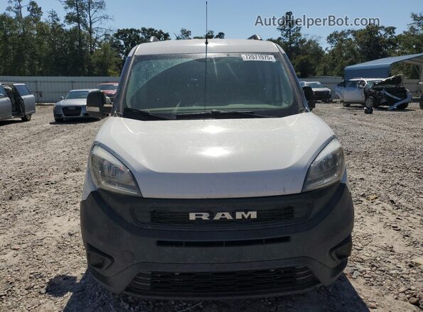 ZFBHRFAB6L6P25909 2020 RAM PROMASTER White Widok z przodu