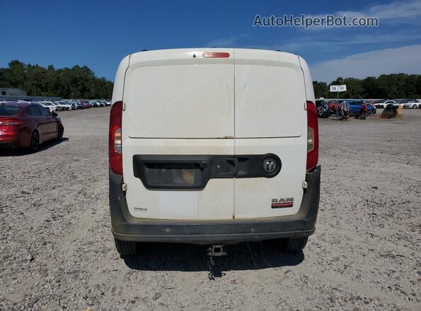 ZFBHRFAB6L6P25909 2020 RAM PROMASTER White Widok z tyłu