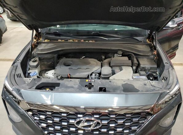 5NMS5CAD8LH149838 2020 HYUNDAI SANTA Gray VIN կոդի պիտակի տեսք