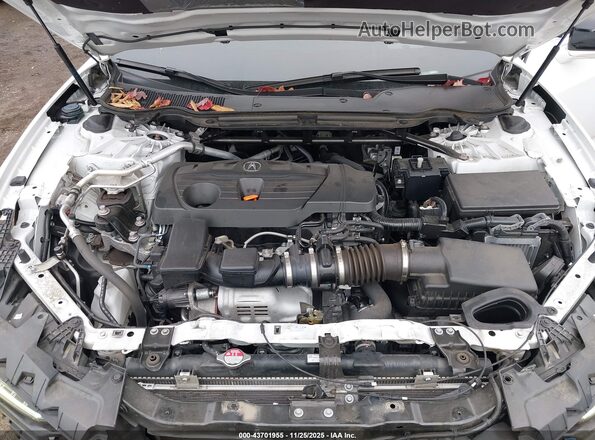 19UUB5F57PA007206 2023 ACURA TLX White Vista trasera