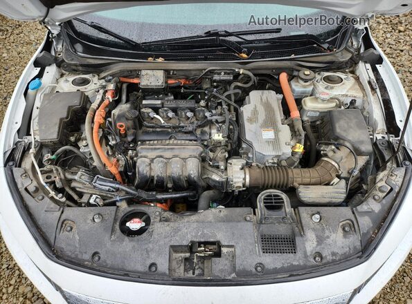 19XZE4F91LE008951 2020 HONDA INSIGHT Белый Вид задней части салона