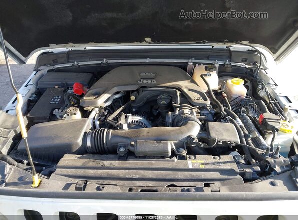 1C4HJXDG0LW242305 2020 JEEP WRANGLER UNLIMITED Белый Вид сзади