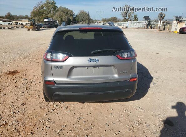 1C4PJLCB5LD569983 2020 JEEP CHEROKEE Silver უკანა ხედი