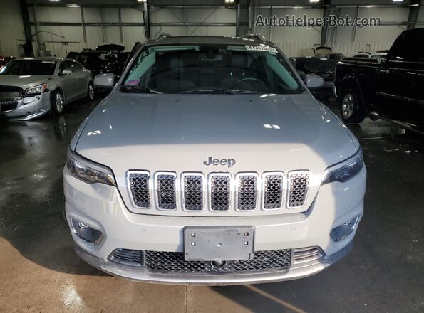 1C4PJMDX2MD136056 2021 JEEP CHEROKEE Gray Front view