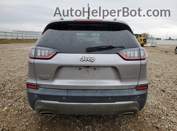 1C4PJMDX5LD595032 2020 JEEP CHEROKEE Silver უკანა ხედი