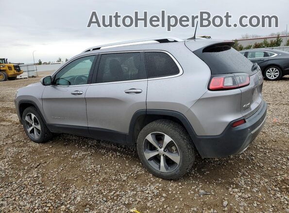 1C4PJMDX5LD595032 2020 JEEP CHEROKEE Silver უკანა მარცხენა